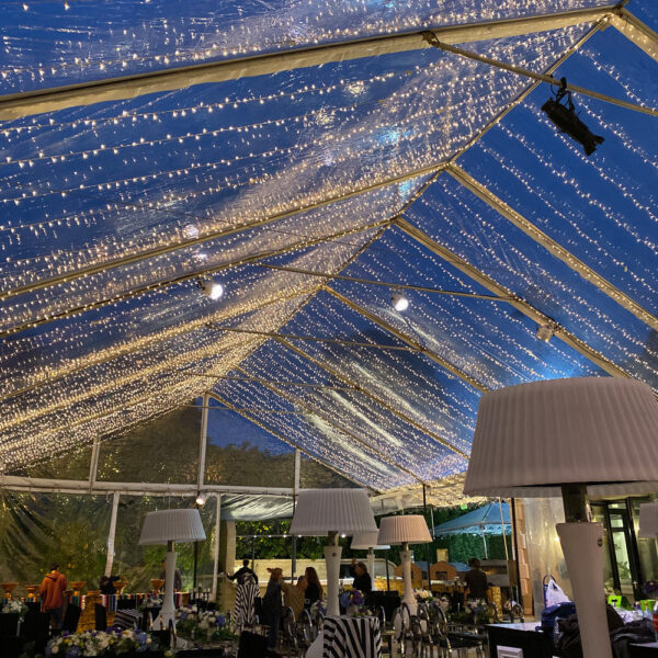 Twinkle String Lighting