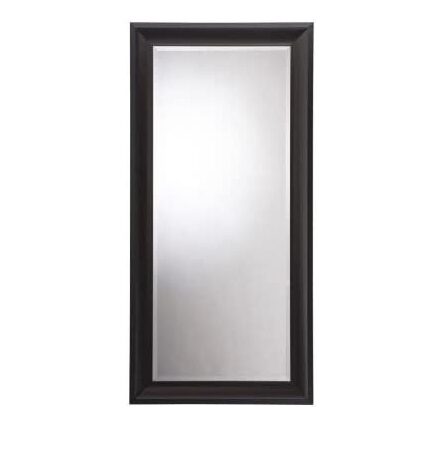 Champlain Mirror